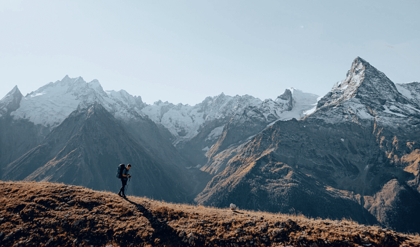 Online Visa Applications: Streamlining the Process with PDF Forms ...