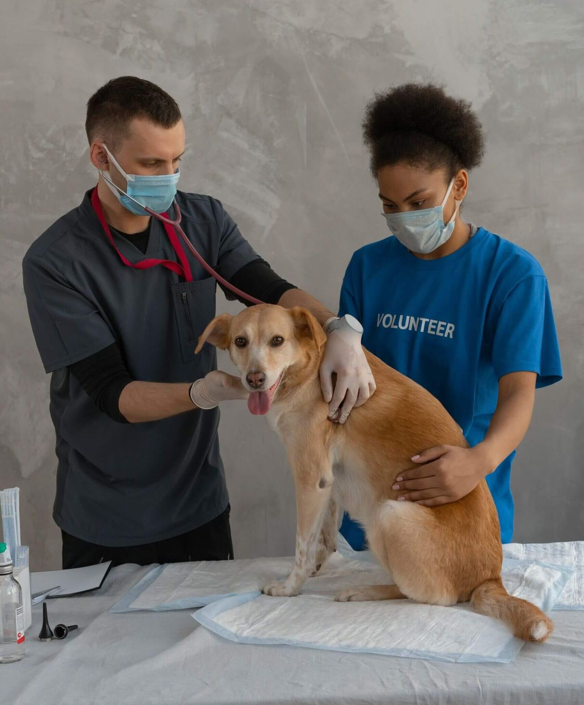 PDFs im medizinischen Bereich