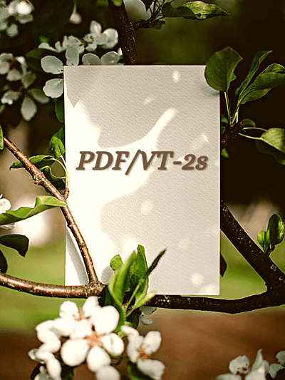PDF/VT-2