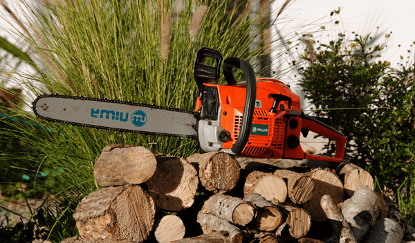 L’impact des PDF sur l’environnement et le développement durable