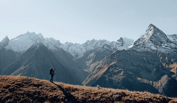 Demandes de visa en ligne : Rationaliser le processus grâce aux formulaires PDF