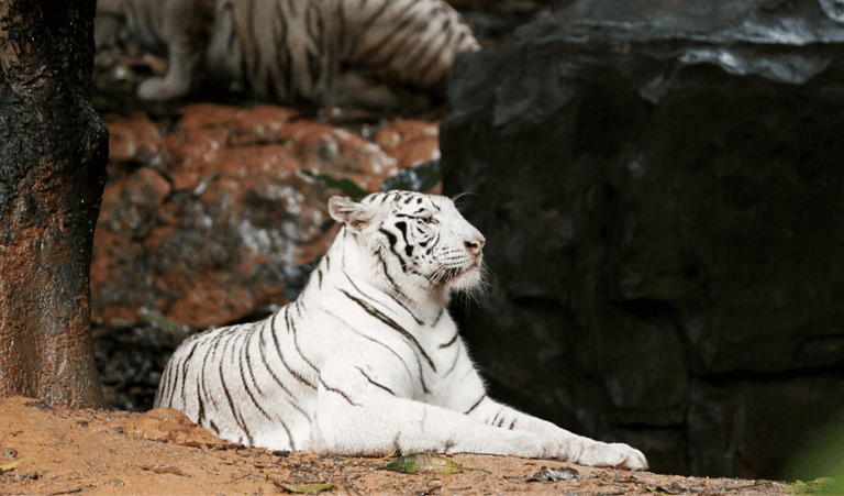 Die Auswirkungen von PDFs auf Umwelt und Nachhaltigkeit