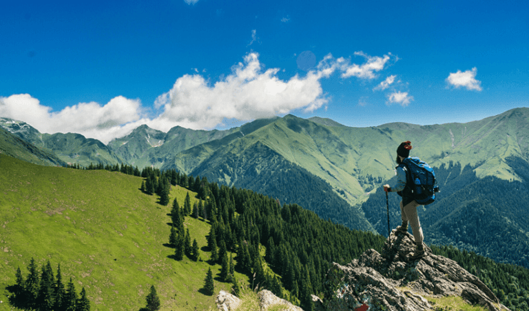 Pólizas de seguro de viaje en PDF: